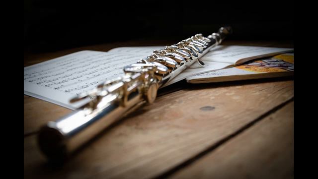 J S Bach Partita Pratice Guide Tempo 69 смотреть онлайн