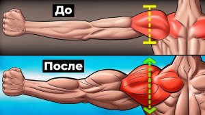 8 популярных ПРИЧИН, почему ваши ПЛЕЧИ НЕ РАСТУТ | 5 стадий тренера