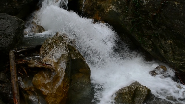 DSC_8561 смотреть онлайн