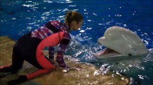 Марина Еникеева, тренер белых китов