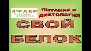БЕЛКИ. Найти и ОБЕЗВРЕДИТЬ. Чужой среди своих.