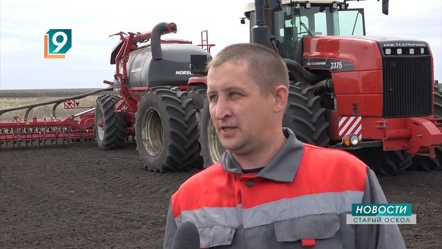 Сеем, сеем, посеваем: в Старооскольском районе в разгаре весенняя посевная