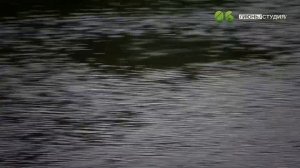 ЯЗЬ ПРОТИВ ЕДЫ Шотландия Выпуск 1