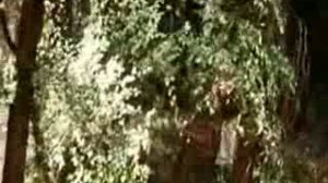 Алые паруса