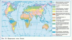 Краткий пересказ §18 Растительный и животный мир Земли. География 7 класс Алексеев