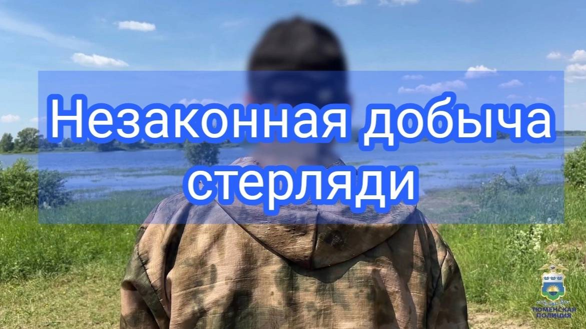 В Тюменской области сотрудниками Госавтоинспекции выявлен факт незаконной добычи стерляди