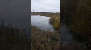 Караганда станции Большая Михайловка, район завода РГТО. углезборочная скоро поплывет в канализацию