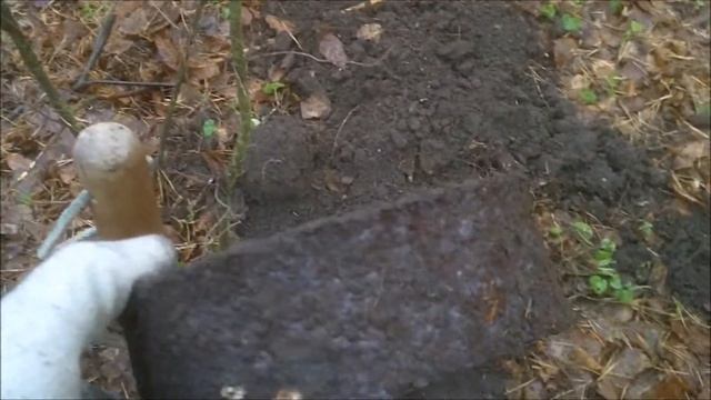 Выкопал дедушку Ленина! смотреть онлайн