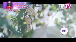 ТопКлип 19.1.17