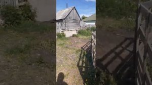 изменение кашар