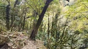 30 октября 2023 Абхазия по водопадам!