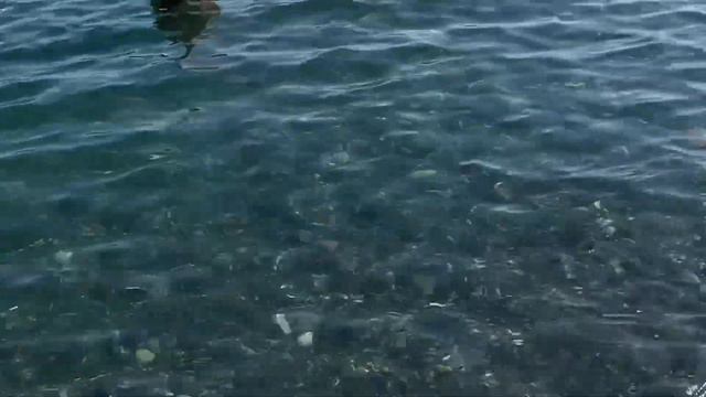 Грузия.Батуми сегодня 05/08/2023. საქართველო.ბათუმი დღეს/ Georgia. Batumi Now. смотреть онлайн