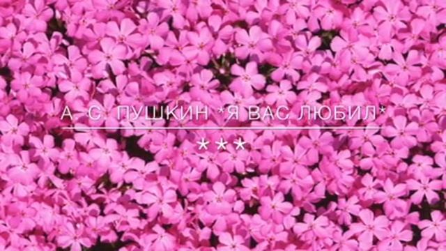 А.С. Пушкин | Я вас любил смотреть онлайн