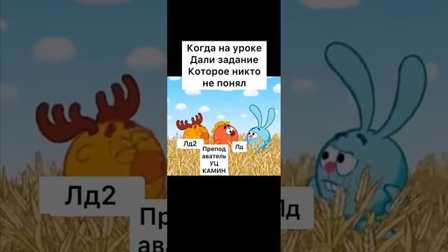 Каждый раз одно и тоже