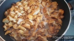 Лисички в сливках!