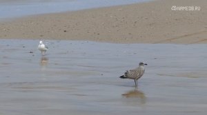 Самые любящие знаки Зодиака: Кто они?