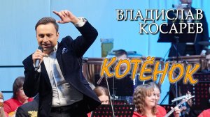 "Я пушистый маленький котенок" Владислав Косарев | "I'm a fluffy little kitten" Vladislav Kosarev