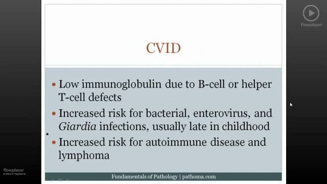 Pathoma USMLE - II ГЛАВА - 5.Первичный иммунодефицит (ПИД)