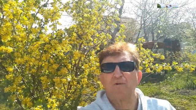 Cидим дома/1МАЯ-праздник весны , мира, и труда!/Выезд на дачу в период самоизоляции, весенний отдых смотреть онлайн