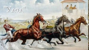 А.И. Куприн - Удод