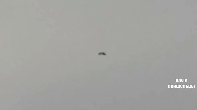 ЛУЧШИЕ КАДРЫ НЛО смотреть онлайн