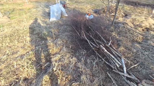 ? Органический способ посадки деревьев на высокую кучу | Поселение родовых поместий #Стрелёнки