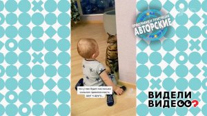 Дружба кота и малыша. Видели видео? Фрагмент выпуска от 07.05.2023