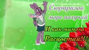 С 8 МАРТА! Прикольное поздравление С 8 МАРТА! Красивое пожелание в стихах на 8 марта