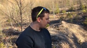 Поиск окаменелостей, куча находок