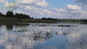 Как ловить щуку в жару на спиннинг?  Благодаря этим секретам всегда будете с щукой летом В ЖАРУ!