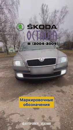 Skoda Oktavia A5 II (2004-2009) расположение номера двигателя BSE/ VIN номер/ маркировки