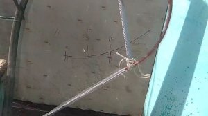 Донни Ватт 5