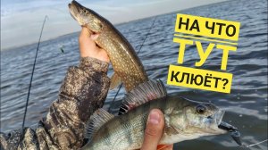 Интересная рыбалка на Черталах
