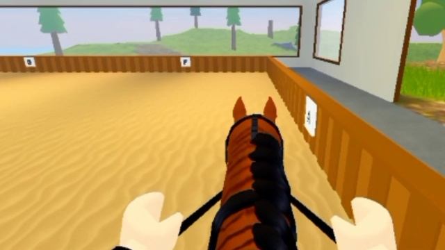 ✨день на конюшне? (тренеруюсь на Тайсе) смотреть онлайн