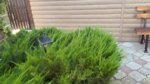 Гостевой дом "Велес" в поселке Пересыпь на Азовском море