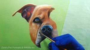 Staffordshire Bull Terrier Acrylic Painting | | Pet Portrait