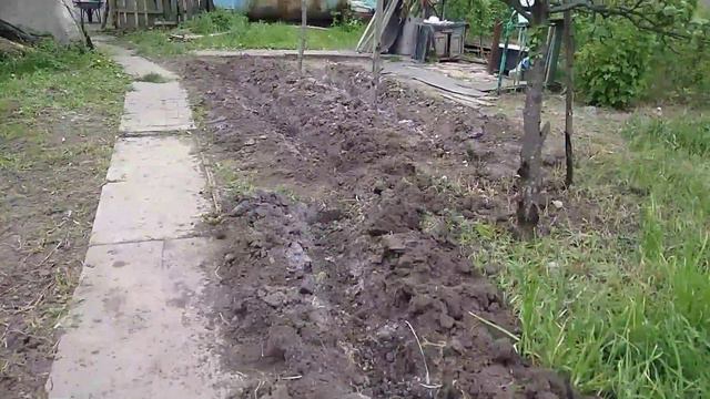 ЛЮБОЙ ФИЗИЧЕСКИЙ ТРУД, ЗДОРОВЬЕ ДЛЯ ОРГАНИЗМА