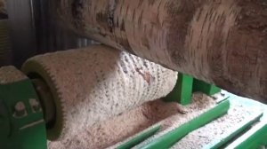 Распил березы Морозовкой