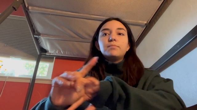 How I crocheted The Catbus from Totoro (the biggest plushie i’ve EVER made + pattern?!) смотреть онлайн