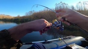 рыбная ловля на карпа