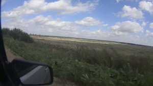 поездка  за  грибами  ЯРОСЛАВЛЬ -Гаврилов Ям