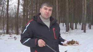 Мойва жареная на костре. Готовим в лесу.