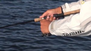 Летом за трофеем! Часть 3. Щука и окунь на минноу. Алексей Шанин. Anglers Practical