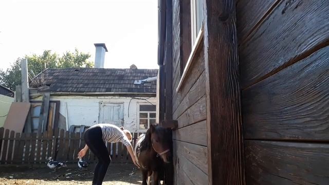 Подготовка К Фотосессии. Купаю Коня. смотреть онлайн