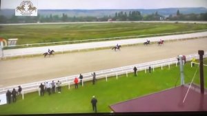 Бега (рысаки иноходцы) Пятигорск 12.09.2021г