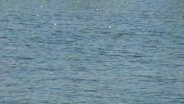 Поймали леща на 4 кг/Рыбалка на карьере за Николаевкой / Наконец-то поймали много рыбы/ Казахстан