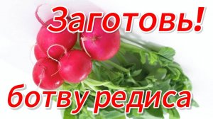 О пользе зелени редиса и других крестоцветных культур