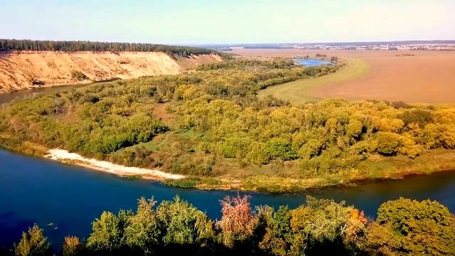 Кривоборье, Воронежская область (обзор)
