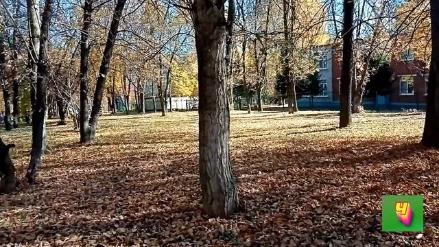 Золото осени. Новочебоксарск смотреть онлайн