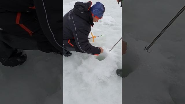 Платный водоём в Подмосковье,ловля форели на поставушки